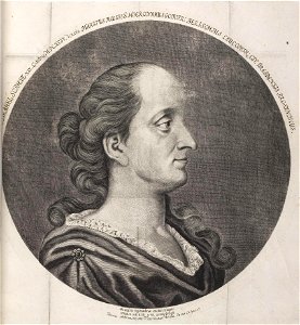 Arolsen Klebeband 03 397