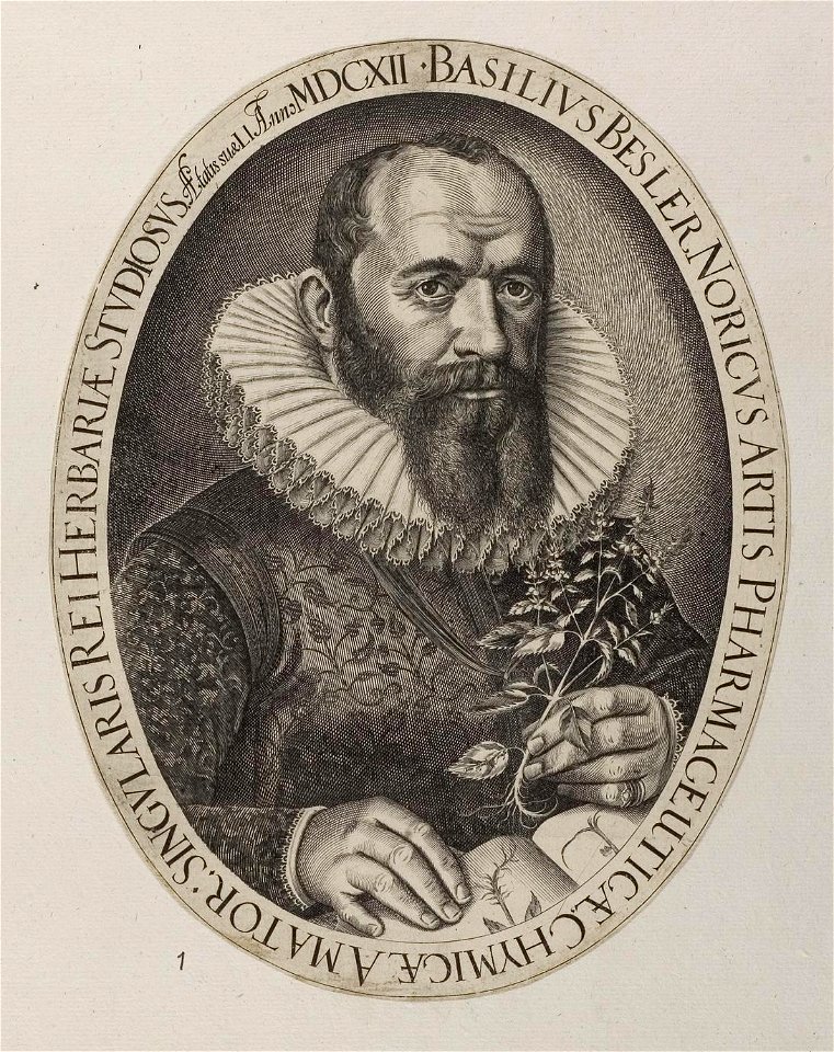 Arolsen Klebeband 03 475