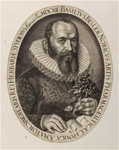 Arolsen Klebeband 03 475