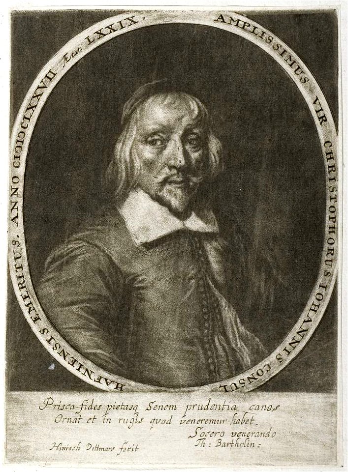 Arolsen Klebeband 03 551 4