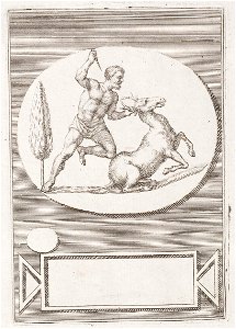 Arolsen Klebeband 13 158