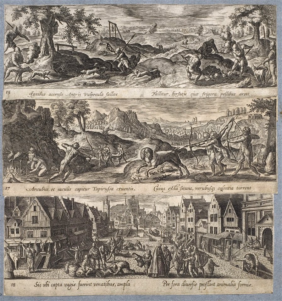 Arolsen Klebeband 13 169