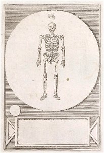 Arolsen Klebeband 13 159