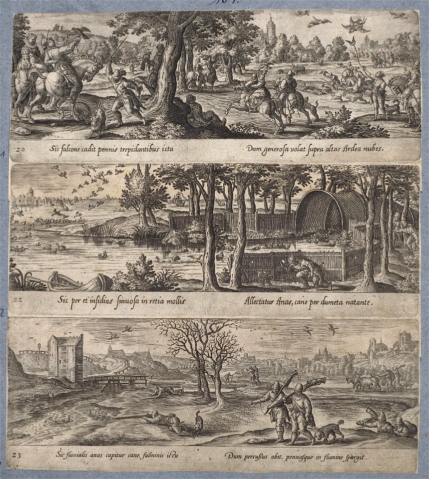 Arolsen Klebeband 13 171