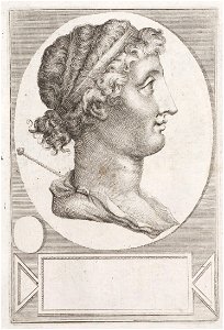 Arolsen Klebeband 13 151