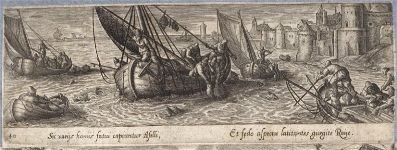 Arolsen Klebeband 13 183.40
