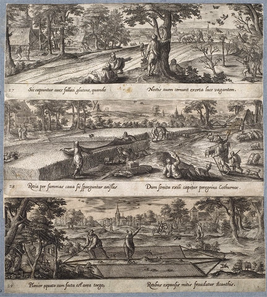 Arolsen Klebeband 13 175