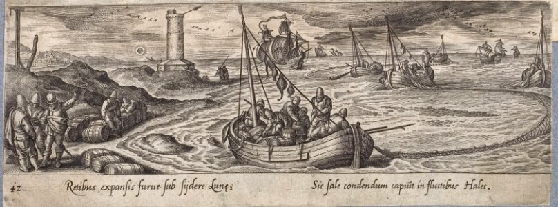 Arolsen Klebeband 13 183.42