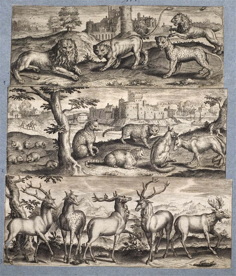 Arolsen Klebeband 13 191