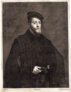 Arolsen Klebeband 13 093