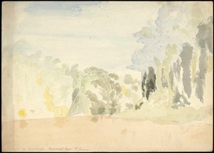Aronoga or Marango Bt. Guiana, 1868, watercolour by James Gay Sawkins
