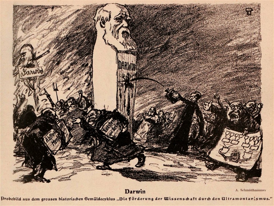 Arpad Schmidhammer - Darwin, 1909