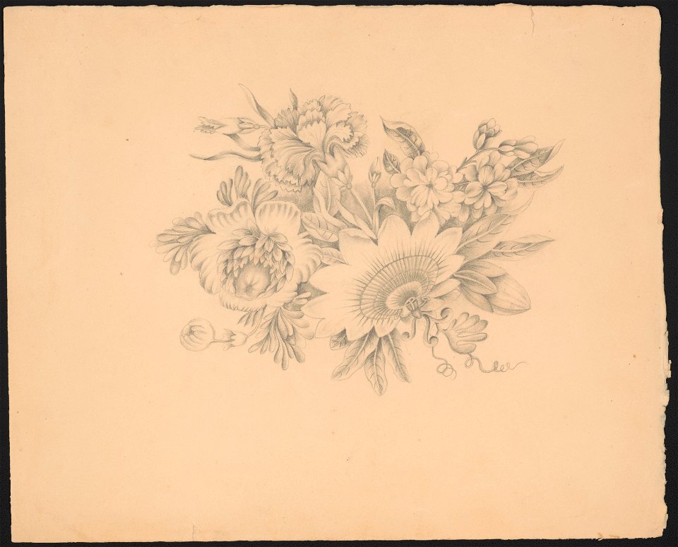 Arrangement of flowers LCCN2016649131