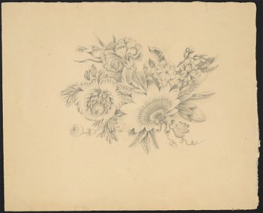 Arrangement of flowers LCCN2016649131