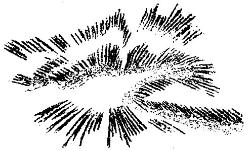 Arrhenius - L’évolution des mondes, 1910 - Fig-40