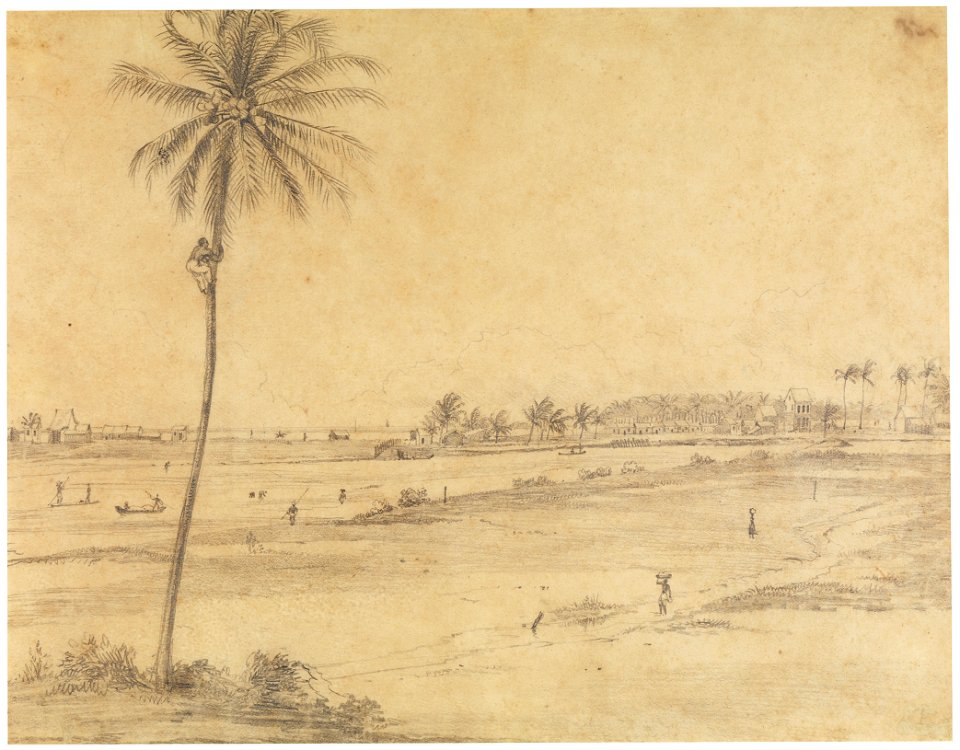 Arrecife of Pernambuco from Olinda, da Coleção Brasiliana Iconográfica