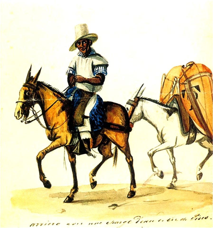Arriero con carga de pisco