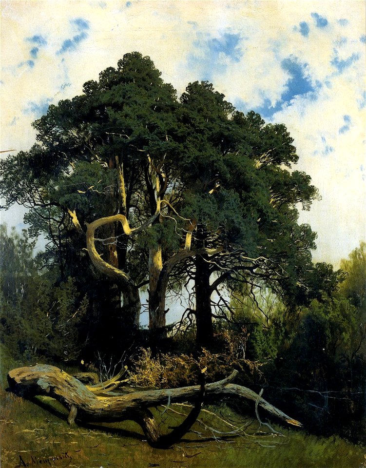 Arseny Meshchersky - Landscape