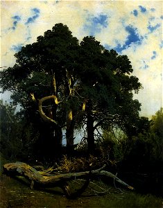 Arseny Meshchersky - Landscape