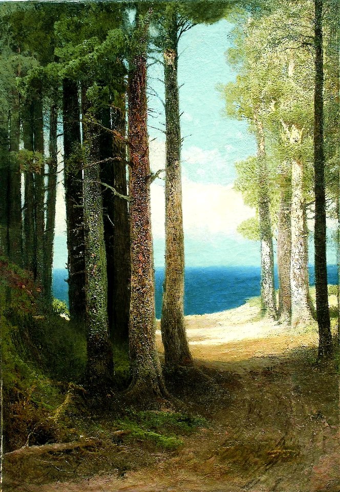 Arseny Meshchersky - Pine Trees on the Shore