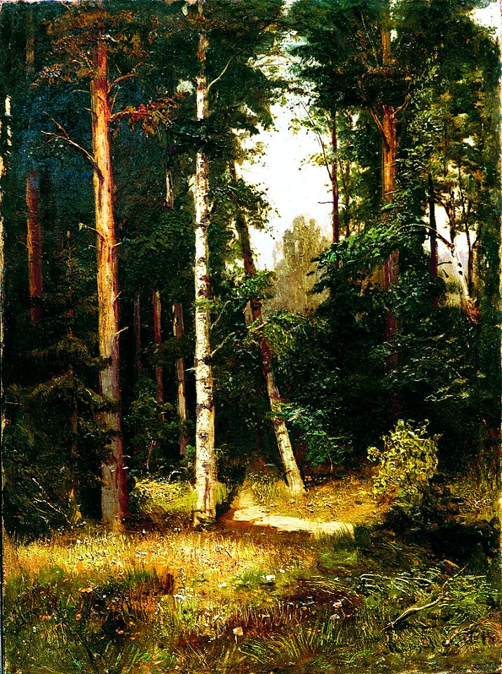 Arseny Meshchersky - Path in the Woods