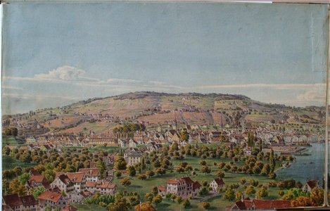 Arter Panorama3