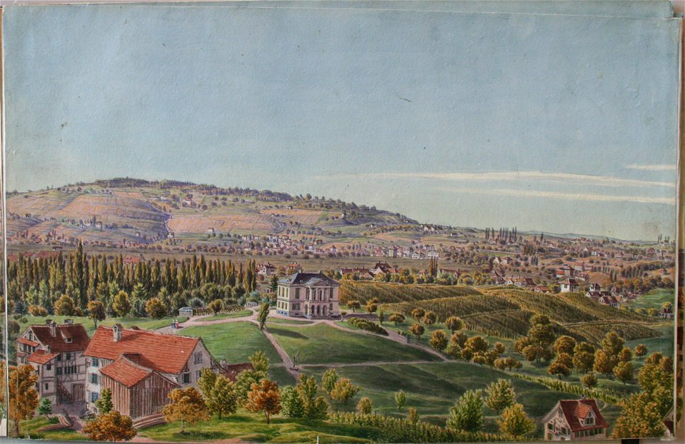 Arter Panorama2