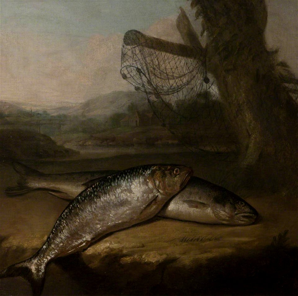 Arthur Devis (1712-1787) - Atlantic Salmon and Allis Shad, by the River Wye (^) - 107877 - National Trust