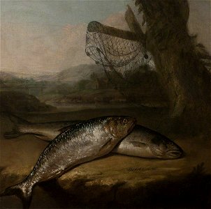 Arthur Devis (1712-1787) - Atlantic Salmon and Allis Shad, by the River Wye (^) - 107877 - National Trust