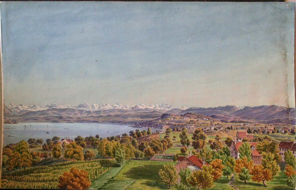 Arter Panorama6