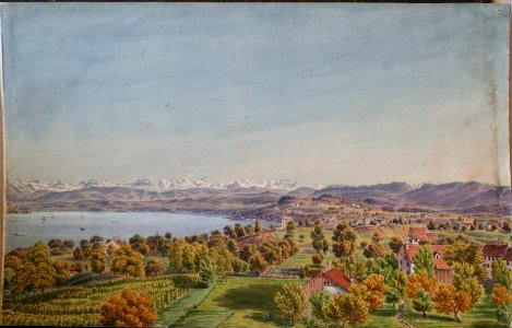 Arter Panorama6