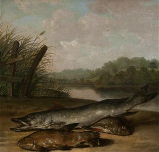 Arthur Devis (1712-1787) - Pike, Tench and Chub - 107878 - National Trust