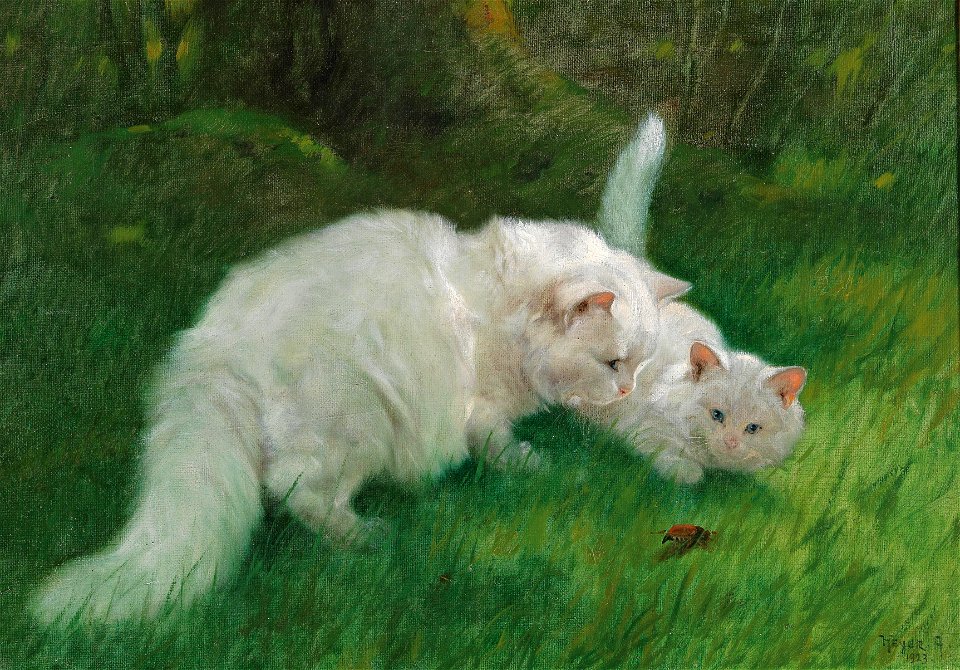 Arthur Heyer Interessante Entdeckung 1923