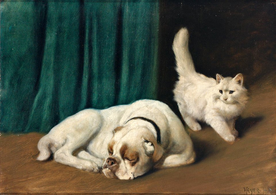 Arthur Heyer Ruhende Bulldogge und weiße Perserkatze