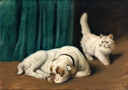 Arthur Heyer Ruhende Bulldogge und weiße Perserkatze