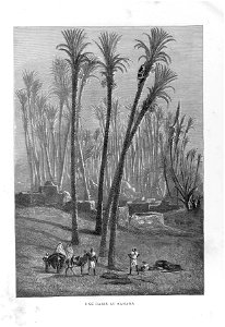 Arthur Mangin - Histoire des jardins anciens et modernes - 1887 - 005