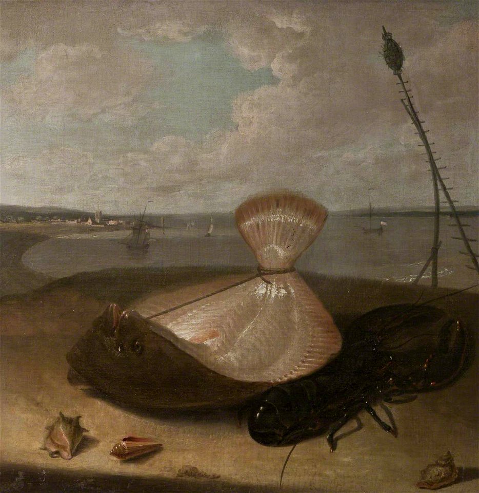 Arthur Devis (1712-1787) - Turbot, Lobster and Sea Shells, in the Thames Estuary (^) - 107876 - National Trust