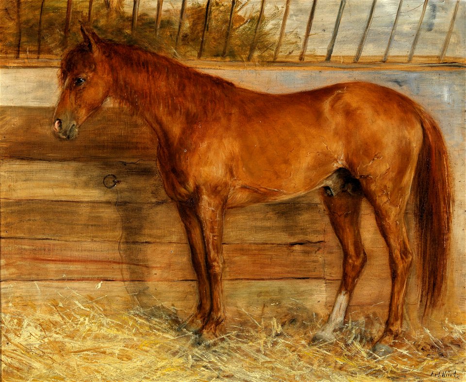 Arthur Kurtz Pferd im Stall