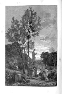 Arthur Mangin - Histoire des jardins anciens et modernes - 1887 - 002