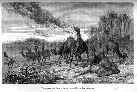 Arthur Mangin Nos ennemis, illustration par Pannemaker fils (Stéphane) et Yan Dargent