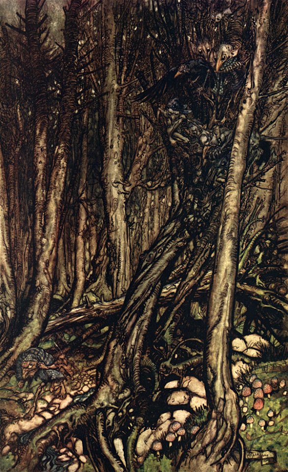 Arthur Rackham 1909 Undine (2 of 15)