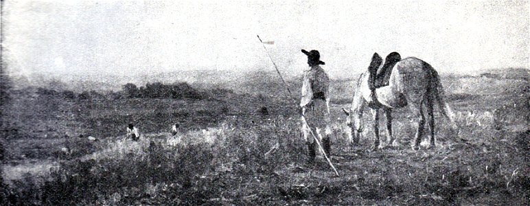 Arthur Verona - Pe camp (Frumoasa Moldova)
