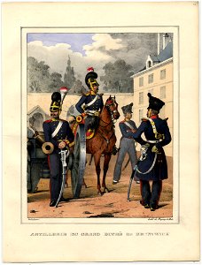 Artillerie du grand duché de Brunswick FIE IPO 022