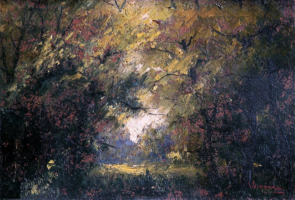 Arthur Verona - Luminis in codrii Hertei