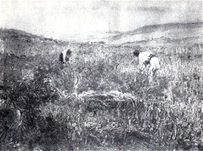 Arthur Verona - Seceris