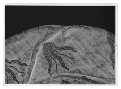 Arvfurstehatt - Livrustkammaren - 60973-negative
