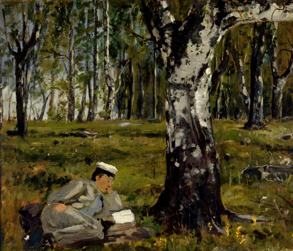 Arvid Liljelund - Opintoja luonnossa - A IV 3629 - Finnish National Gallery