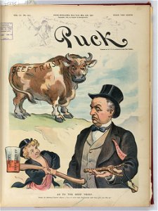 As to the beef trust - Keppler. LCCN2010651597
