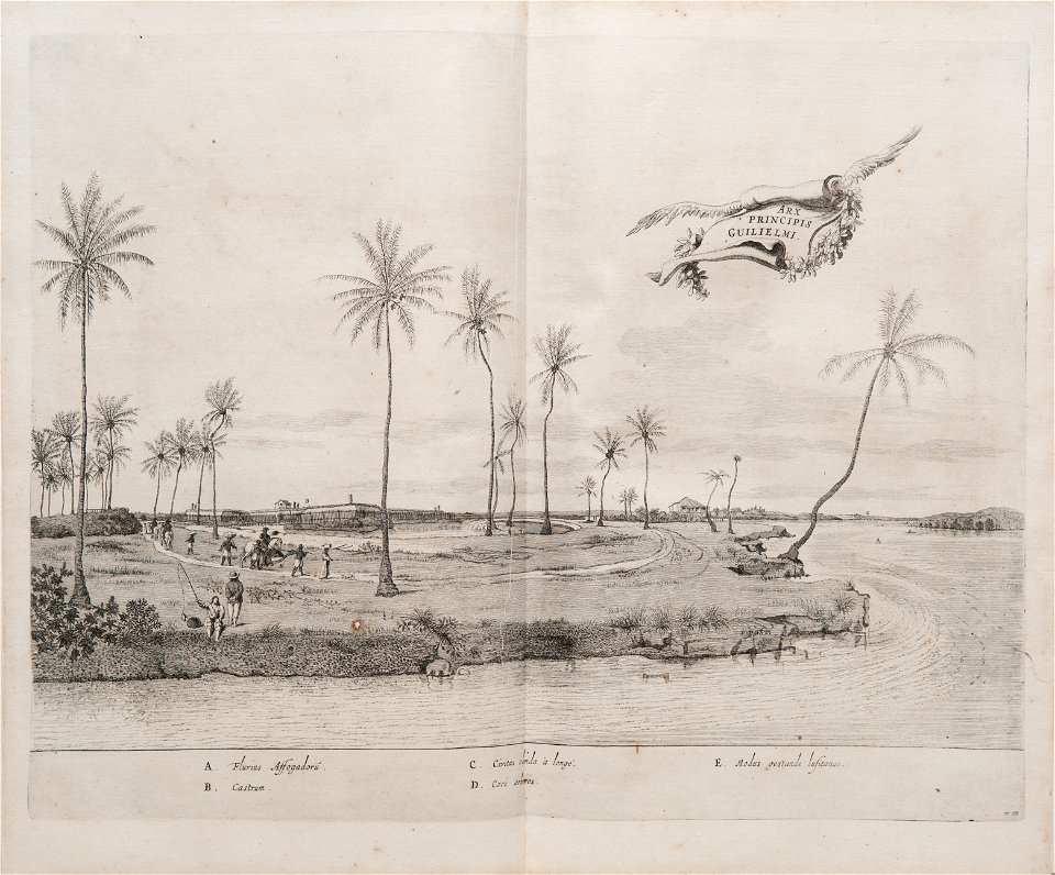 Arx Principis Guilielmi, da Coleção Brasiliana Iconográfica
