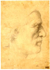 Ascribed to Franciabigio - Portrait of an unknown man, 1890,0415.174